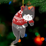 MyAvatar™ Personalized Acrylic Ornament - Cat Lovers